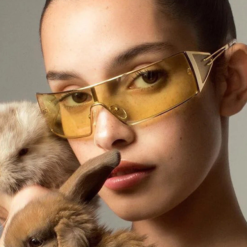 Metal Sunglasses Fashion Box Versatile Hot Girl Outdoor Sunglasses Women's Sunglasses Premium